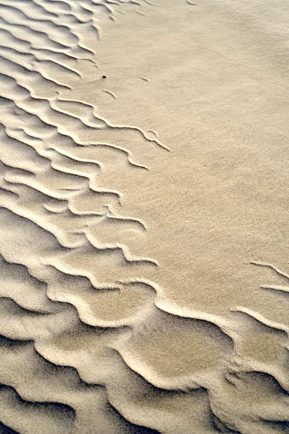 free-photo-of-natur-sand-muster-gelb Kopie